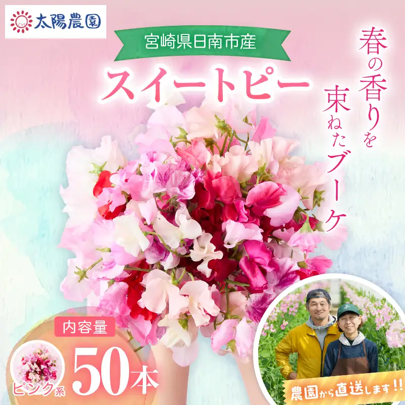 スイートピー 花束 50本 ピンク系 フラワー 期間限定 数量限定_CB122-26