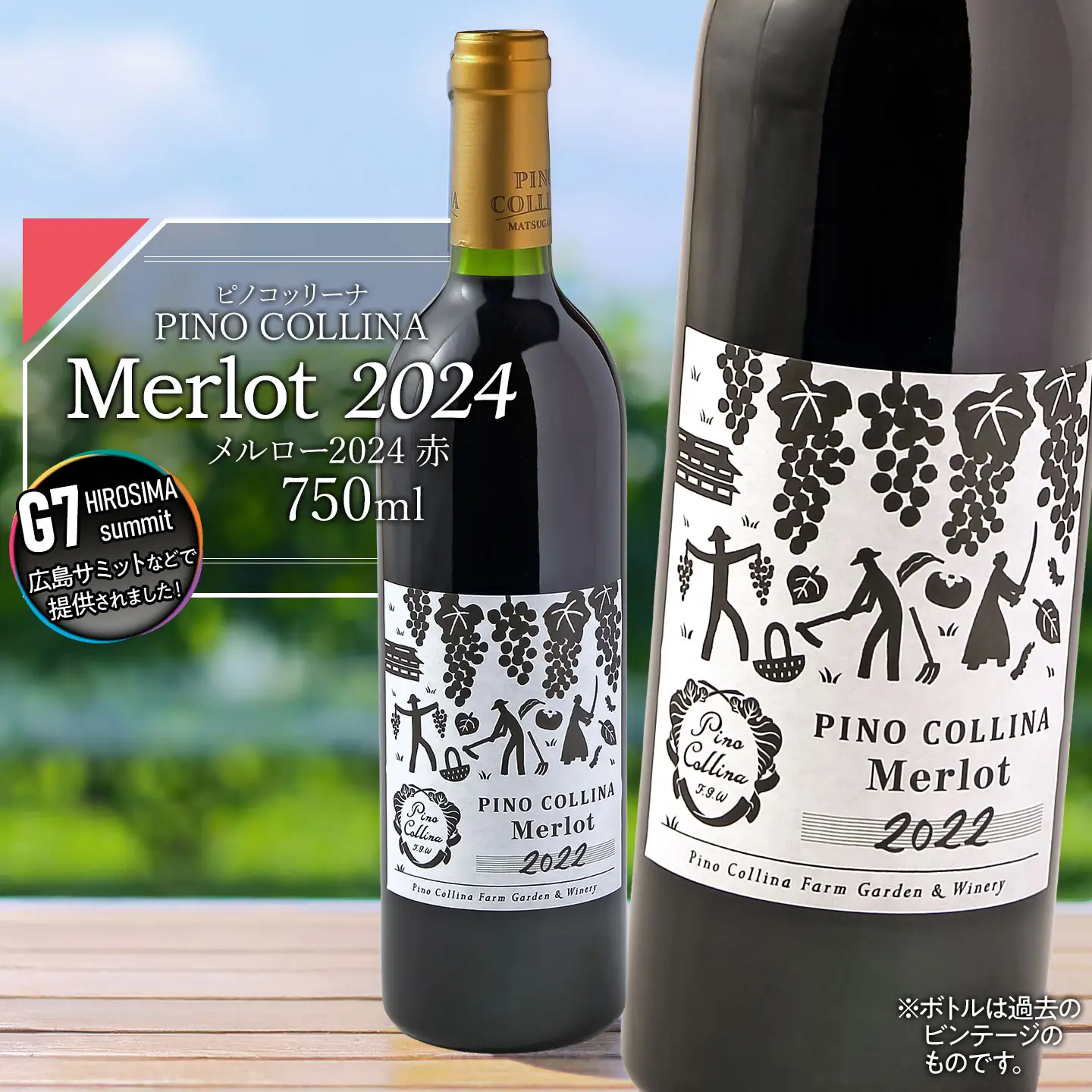 ピノ・コッリーナ メルロー 2024（赤） | 赤ワイン Melrot PINO