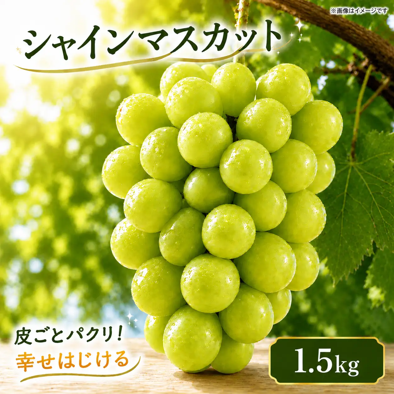 シャインマスカット 1.5kg シャインマスカット