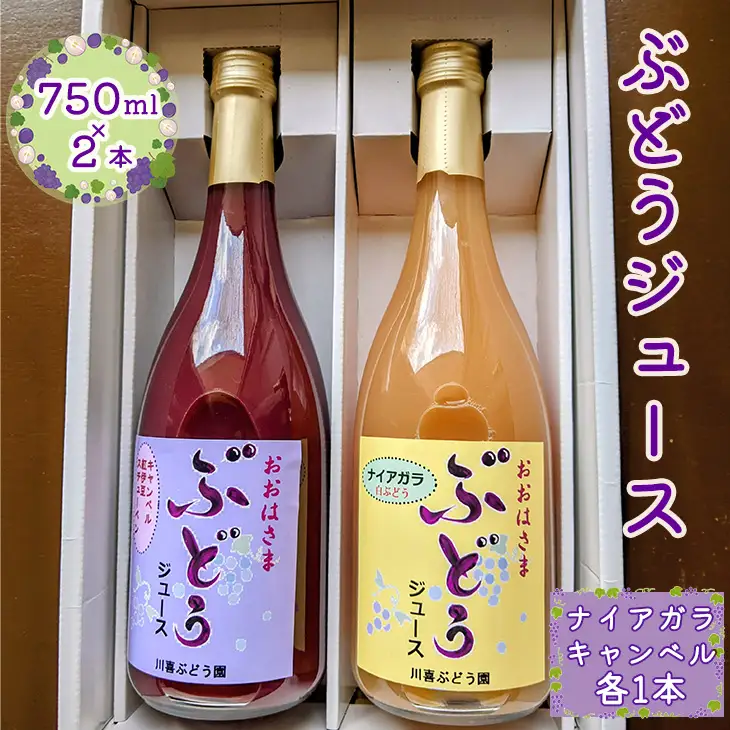 ぶどうジュース （キャンベル・ナイアガラ） 750ml×2本 【2488】