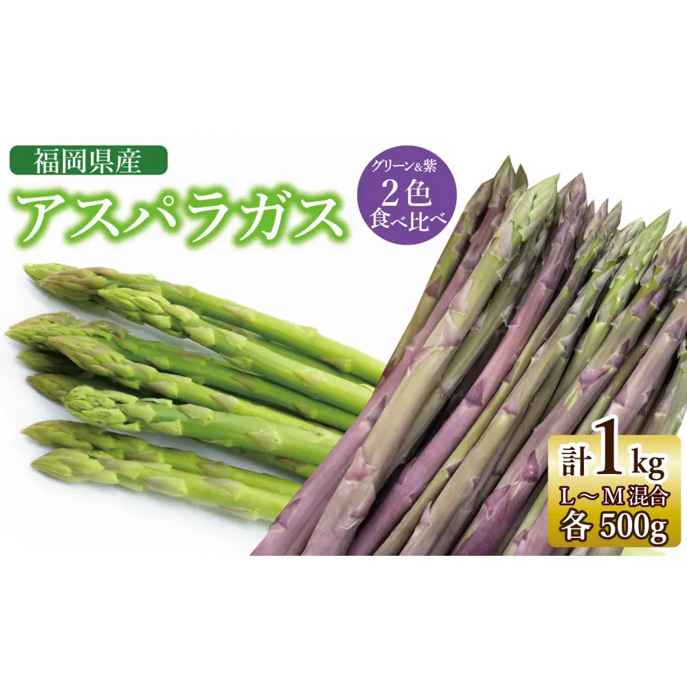【2026年7月以降出荷】福岡県産アスパラガス 夏芽 紫・緑セット （L-Mサイズ混合 計1kg）