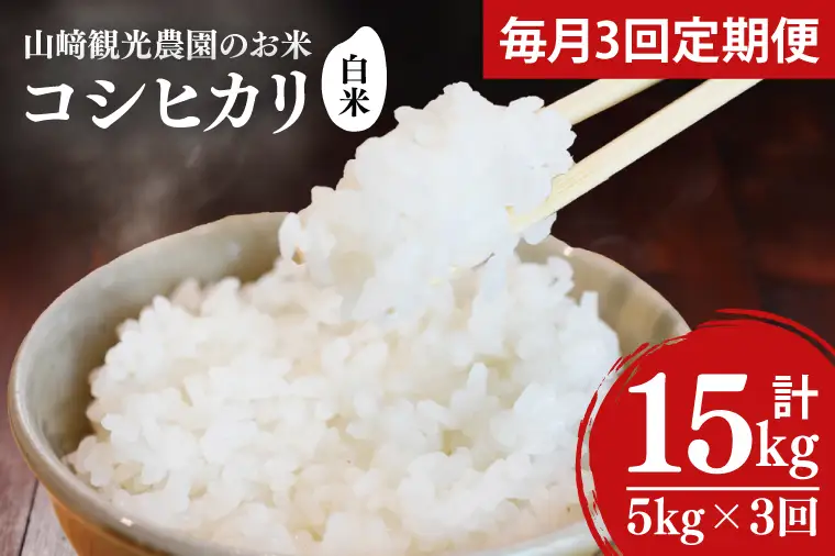 ＼先行予約／【全3回定期便】＜毎月＞山﨑観光農園のお米　コシヒカリ　白米5kg(AU049)