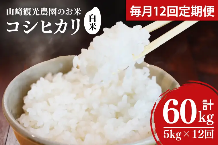＼先行予約／【全12回定期便】＜毎月＞山﨑観光農園のお米　コシヒカリ　白米5kg(AU051)