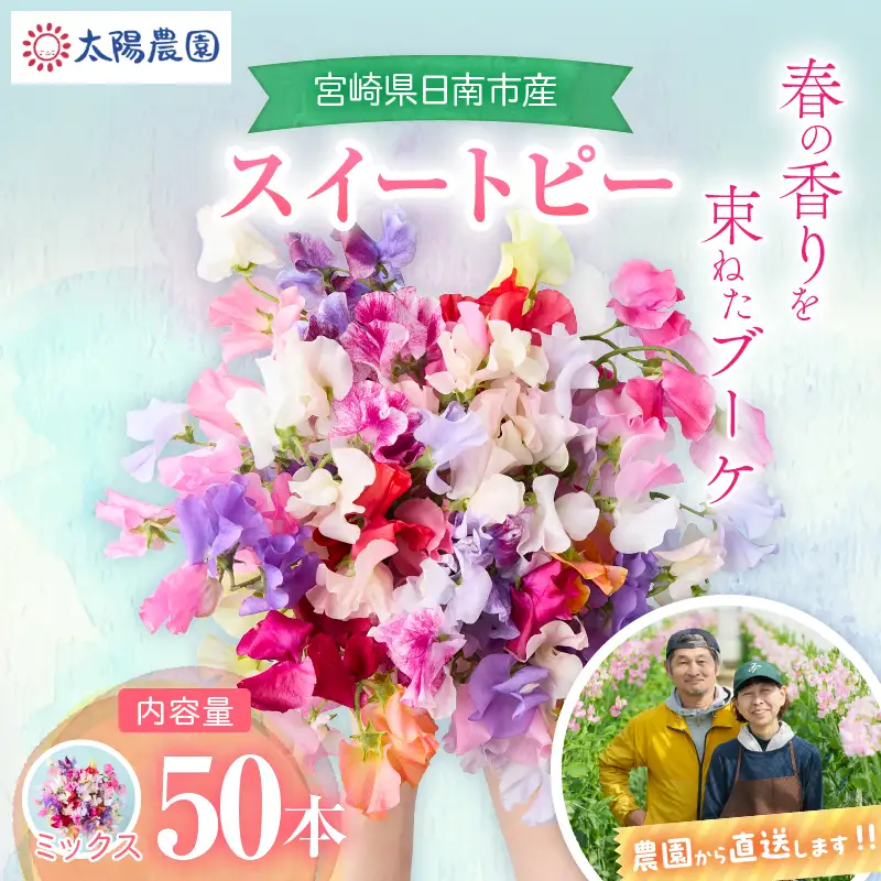 スイートピー 花束 50本 ミックス系 フラワー 期間限定 数量限定_CB123-26