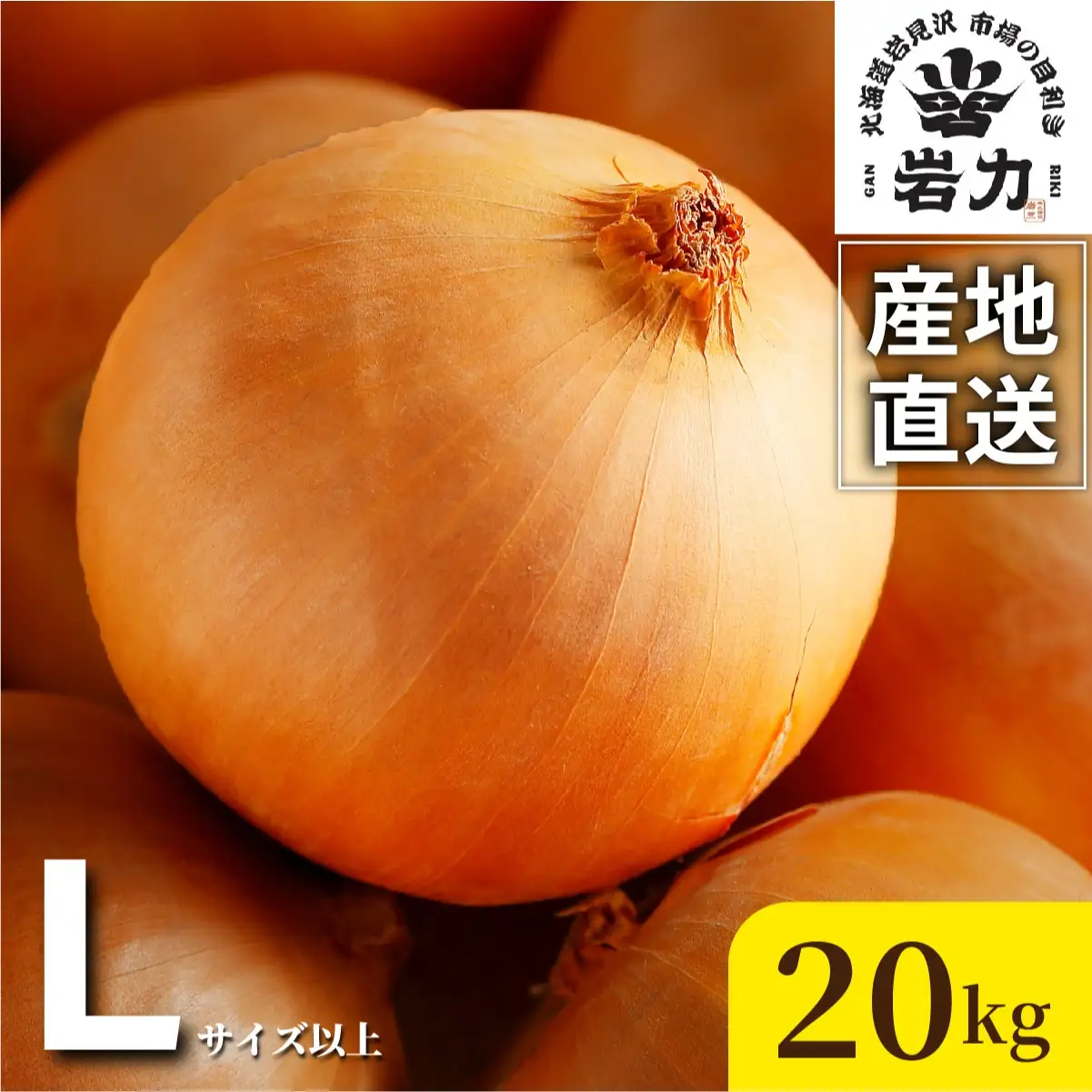 北海道岩見沢産たまねぎ 20kg (市場の目利き・岩力ブランド)【a142-009】