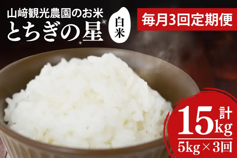 ＼先行予約／【全3回定期便】＜毎月＞山﨑観光農園のお米　とちぎの星　白米5kg （AU052）