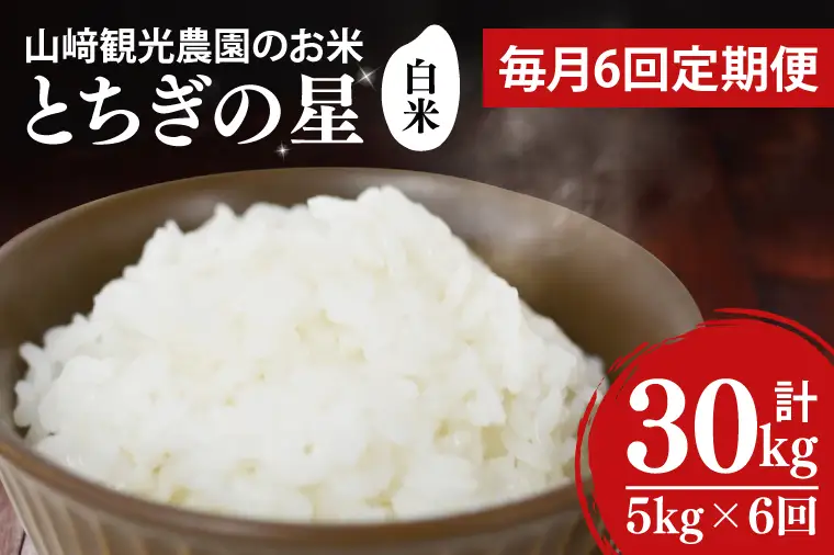 ＼先行予約／【全6回定期便】＜毎月＞山﨑観光農園のお米　とちぎの星　白米5kg （AU053）