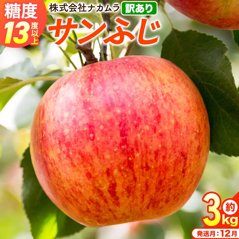 りんご サンふじ 訳あり 約3kg【12月発送】りんご