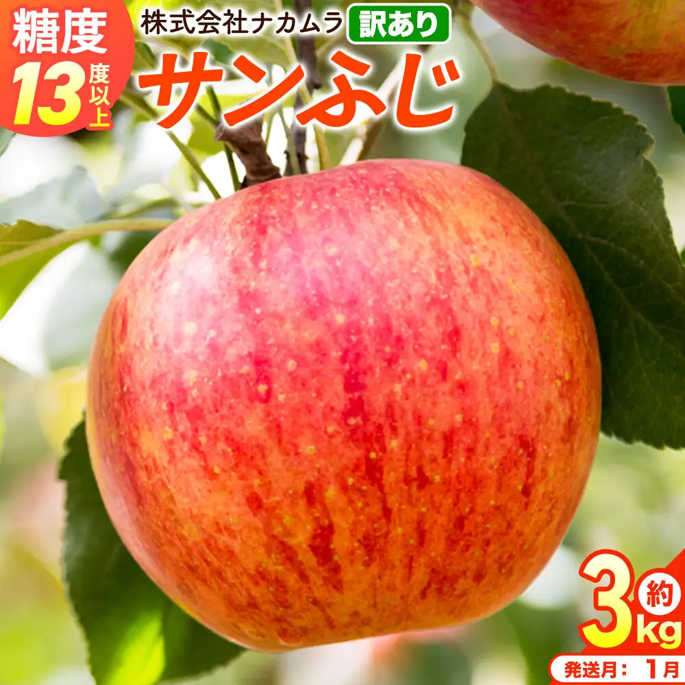 【27年1月発送】りんご サンふじ【訳あり】約3kg（8～13玉程度）糖度13度以上 先行受付 青森県産 林檎 リンゴ 果物 くだもの フルーツ 青森県 弘前市 不揃い 規格外