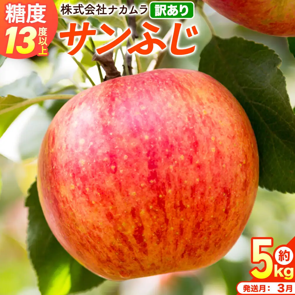 【27年3月クール便発送】りんご サンふじ【訳あり】約5kg（14～23玉程度）糖度13度以上 先行受付 青森県産 林檎 リンゴ 果物 くだもの フルーツ 青森県 弘前市 不揃い 規格外