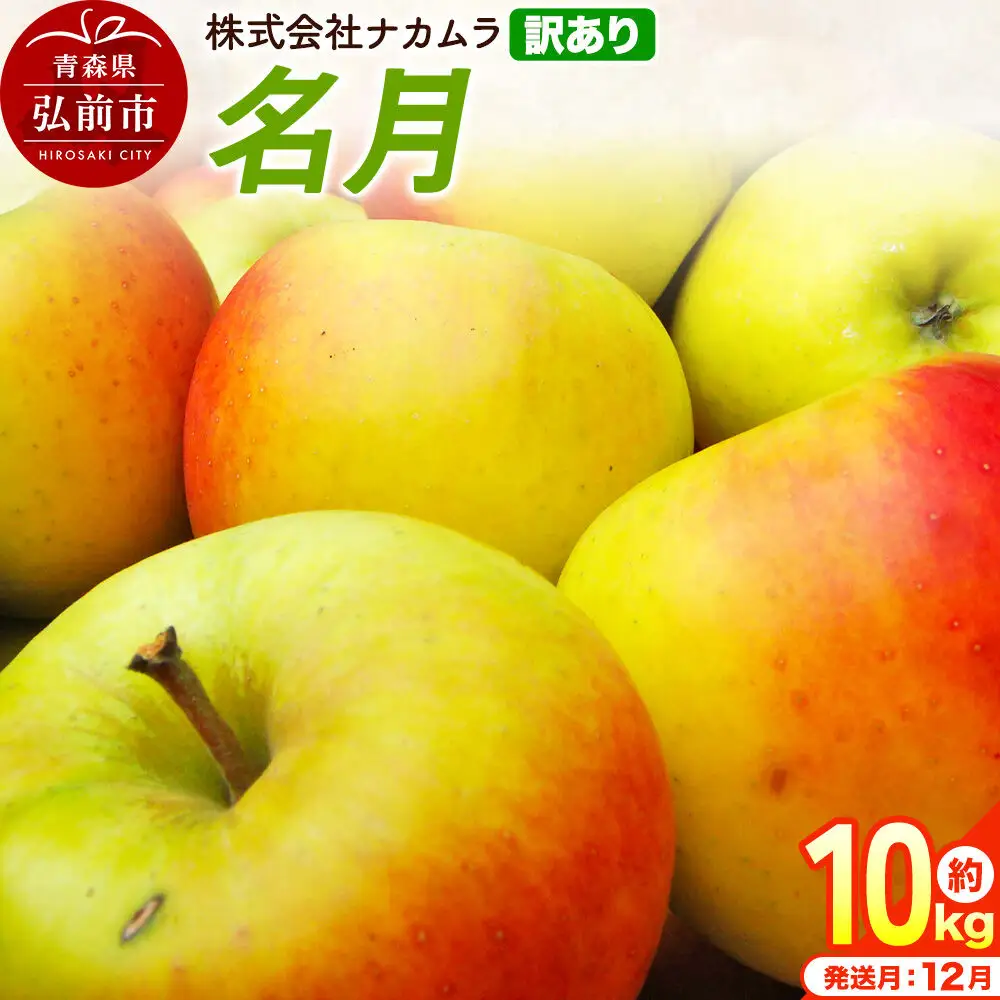 【26年12月発送】りんご 名月【訳あり】約10kg（28～46玉程度）先行受付 青森県産 林檎 リンゴ 果物 くだもの フルーツ 青森県 弘前市 不揃い 規格外