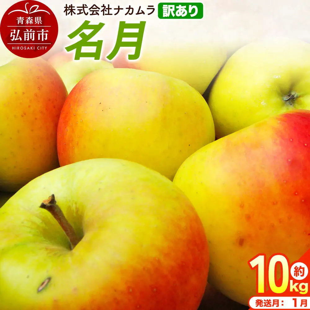 【27年1月発送】りんご 名月【訳あり】約10kg（28～46玉程度）先行受付 青森県産 林檎 リンゴ 果物 くだもの フルーツ 青森県 弘前市 不揃い 規格外