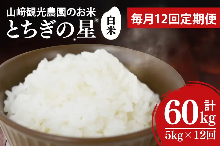 ＼先行予約／【全12回定期便】＜毎月＞山﨑観光農園のお米　とちぎの星　白米5kg （AU054）