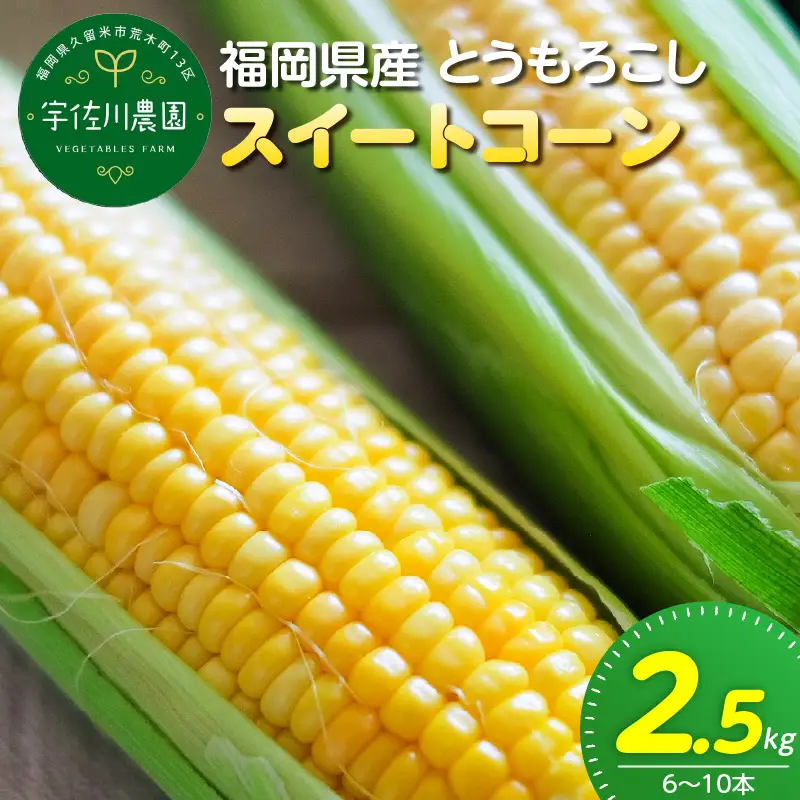 【2027年6月お届け】 福岡県産とうもろこし 2.5kg（スイートコーン） 〔Gv055-01〕
