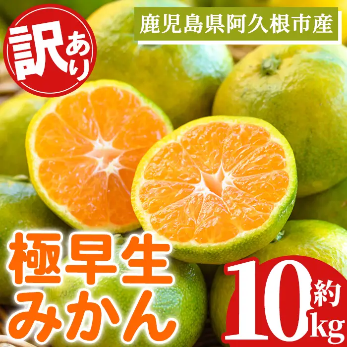 ＜先行予約受付中！2026年9月中旬以降順次発送予定＞ 訳あり！極早生みかん(約10kg) 国産 みかん 極早生 早生 柑橘 果物 フルーツ デザート 果実 期間限定 数量限定 【古田果樹園】akn093-11
