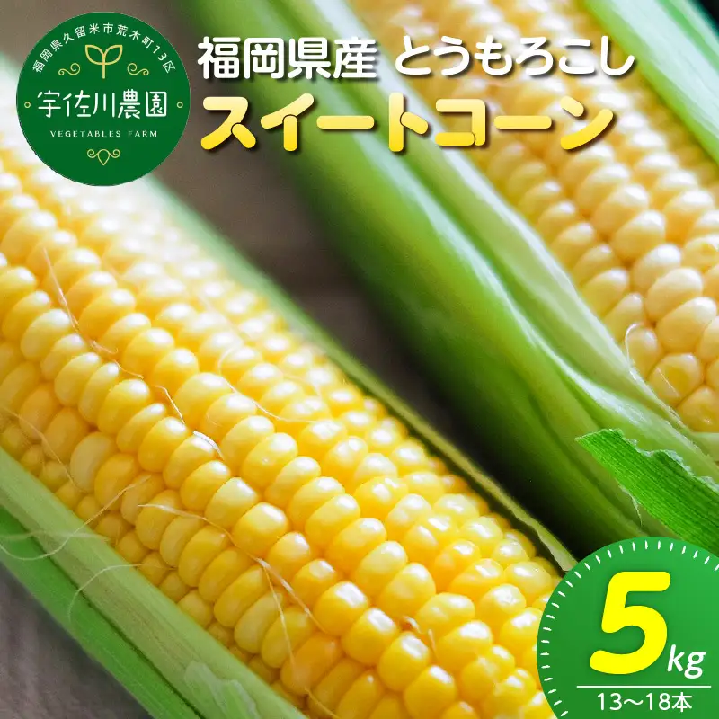 【2027年6月お届け】 福岡県産とうもろこし 5kg（スイートコーン） 〔Gv055-02〕