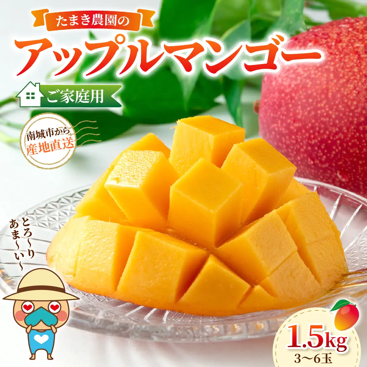 たまき農園のアップルマンゴー（1.5kg）ご家庭用　3～6玉 I マンゴー まんごー トロピカルフルーツ フルーツ 沖縄県 南城市 ふるさと納税