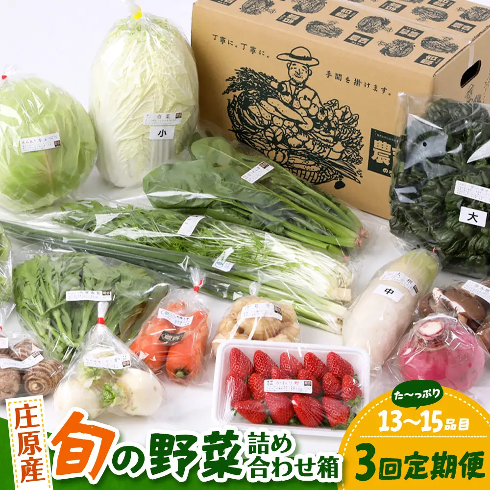 【定期便 3回配送】広島県庄原産「旬の野菜」詰め合わせ箱（13～15品目）野菜セット やさい 3ヵ月 3か月 3ヶ月 定期 頒布会