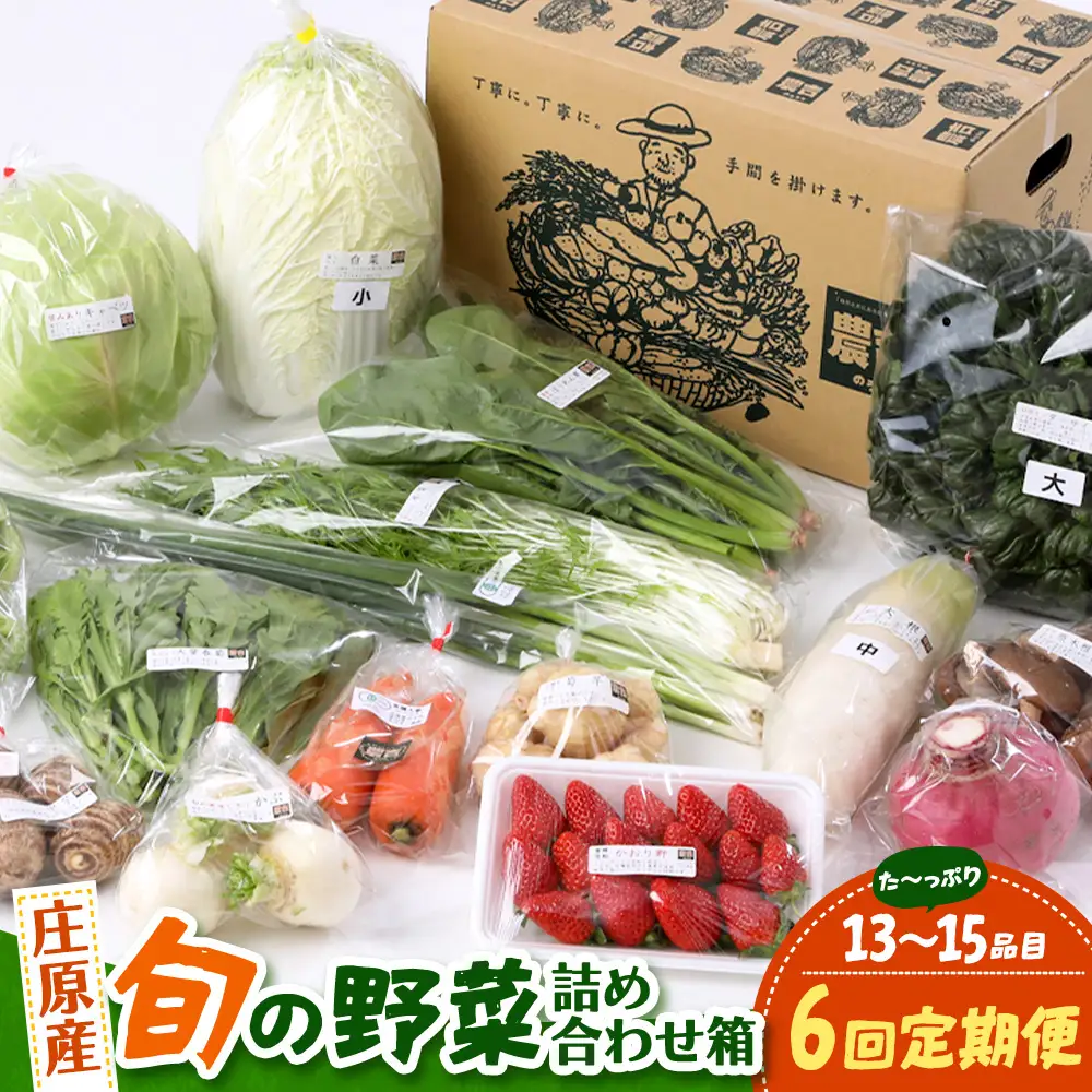 【定期便 6回配送】広島県庄原産「旬の野菜」詰め合わせ箱（13～15品目）野菜セット やさい 6ヵ月 6か月 6ヶ月 定期 頒布会
