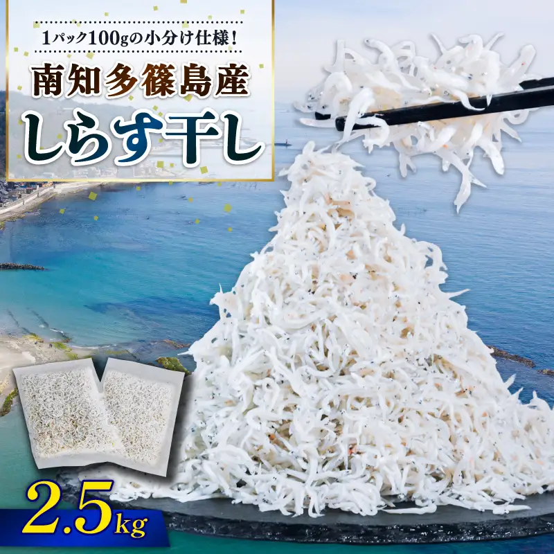 しらす干し 約2.5kg（100g×25パック） 南知多篠島産 大一商店 冷凍 小分け