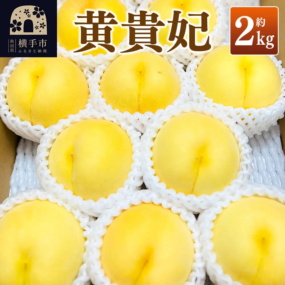 【先行受付】9月上旬より発送 黄貴妃 約2kg（6～9玉前後）モモ もも 黄色桃