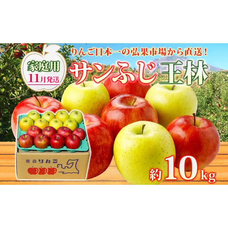 りんご詰合せ サンふじ王林青森県産家庭用 りんご詰合せ【約10kg】【11月発送】