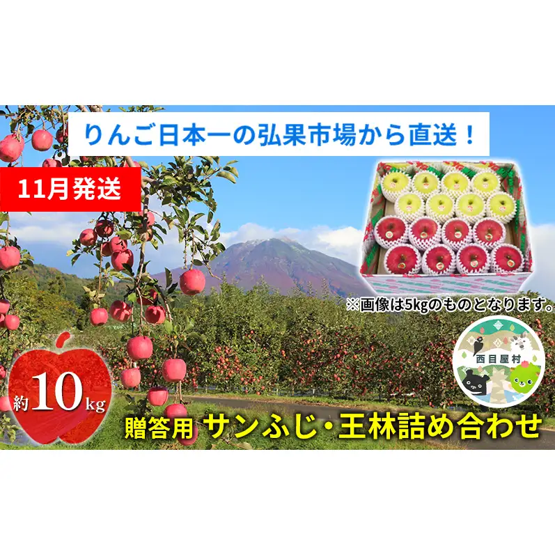 りんご詰合せ サンふじ王林 青森県産 贈答用 りんご詰合せ【約10kg】【11月発送】