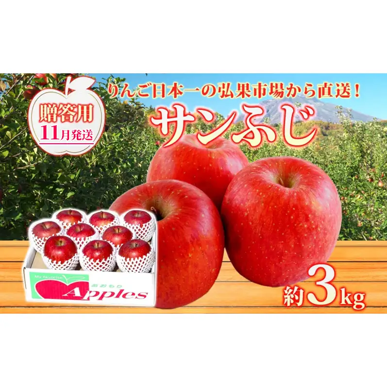 サンふじりんご青森県産贈答用サンふじ【約3kg】【11月発送】
