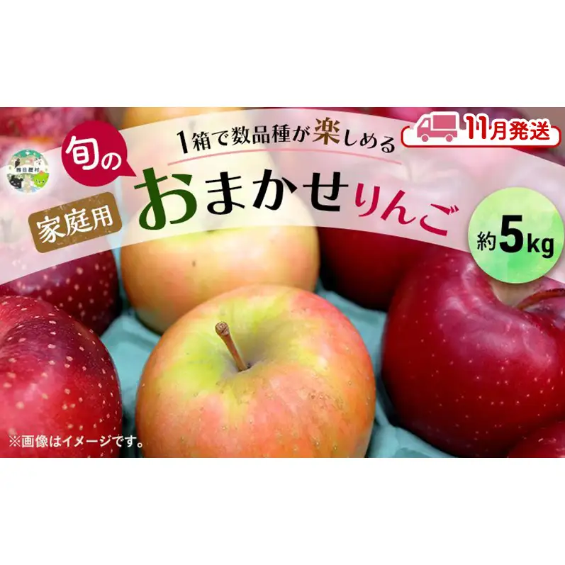 【11月発送】 家庭用 旬のりんご 品種おまかせ 約 5kg 2品種～4品種 りんご