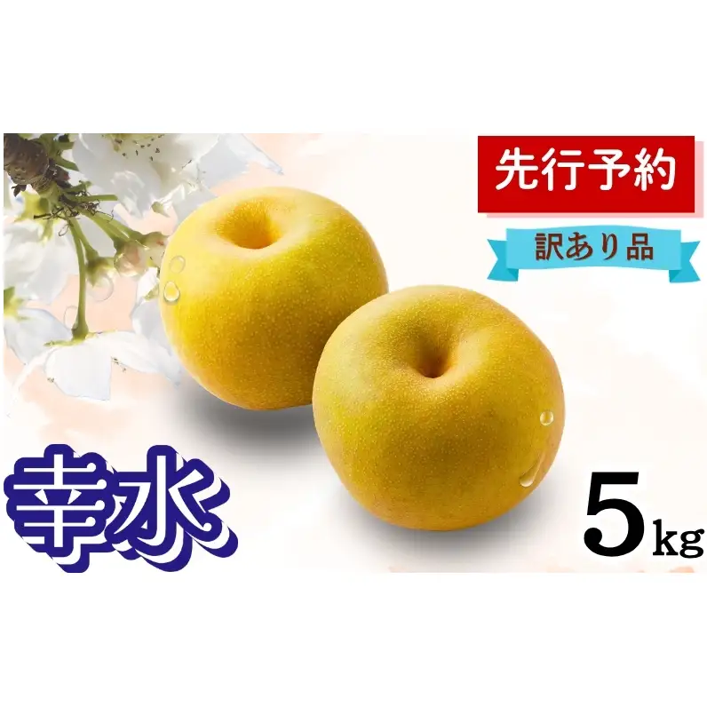 梨 幸水 果物 秋田県産 梨【5kg 12〜14個入】【訳あり】