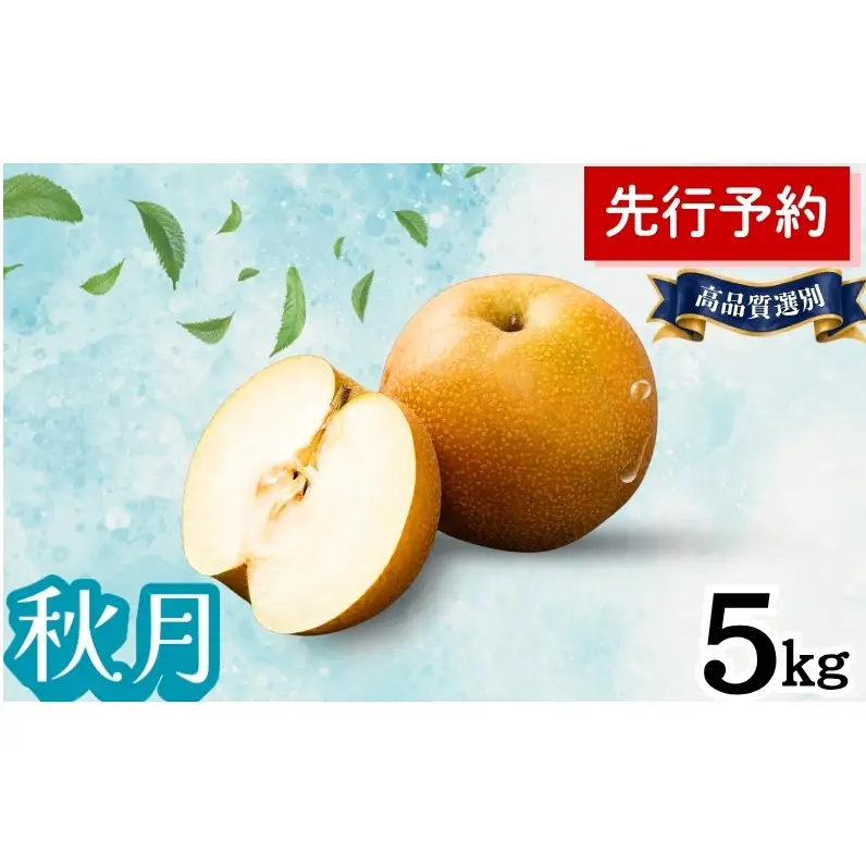 梨 秋月 果物 秋田県産 贈答用 梨【5kg 12〜14個入】