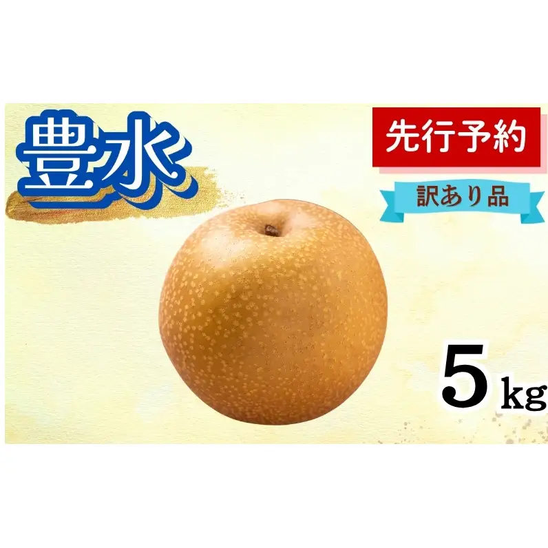 梨 豊水 果物 秋田県産 梨【5kg 12〜14個入】【訳あり】