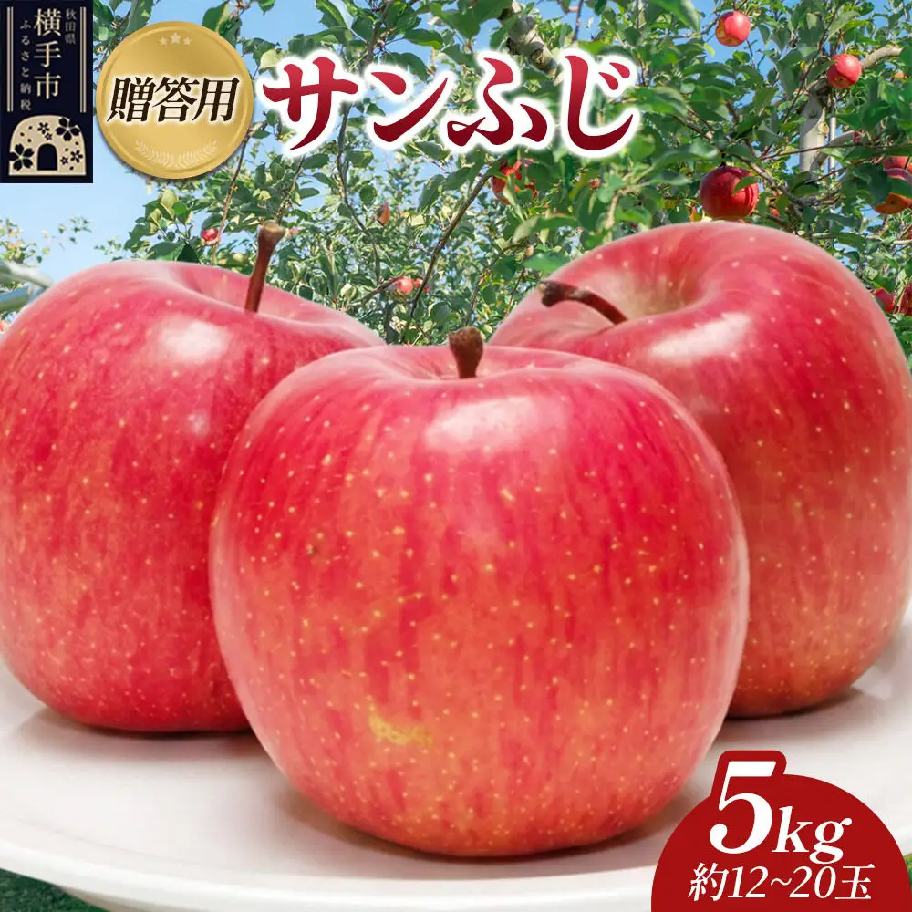 【先行受付】12月上旬より発送 樹上完熟りんご（サンふじ）贈答用 約5kg（約12～20玉） 喜三郎農園