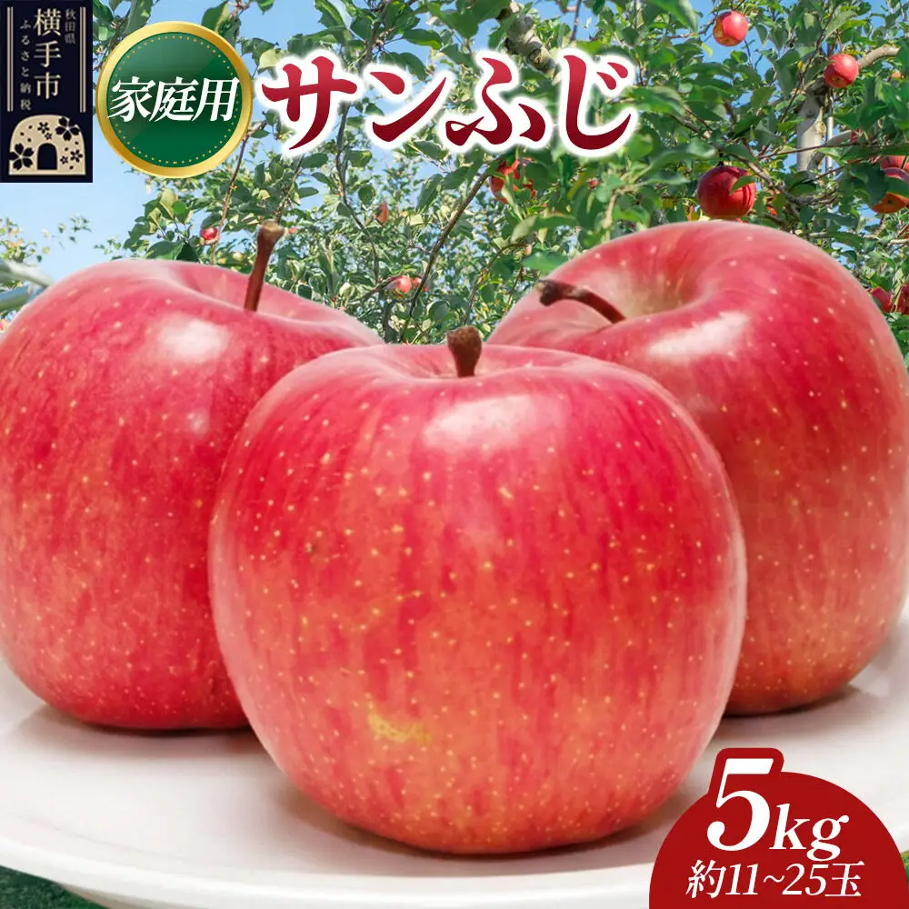 【先行受付】12月上旬より発送 樹上完熟りんご（サンふじ）家庭用 約5kg（約11～25玉） 喜三郎農園