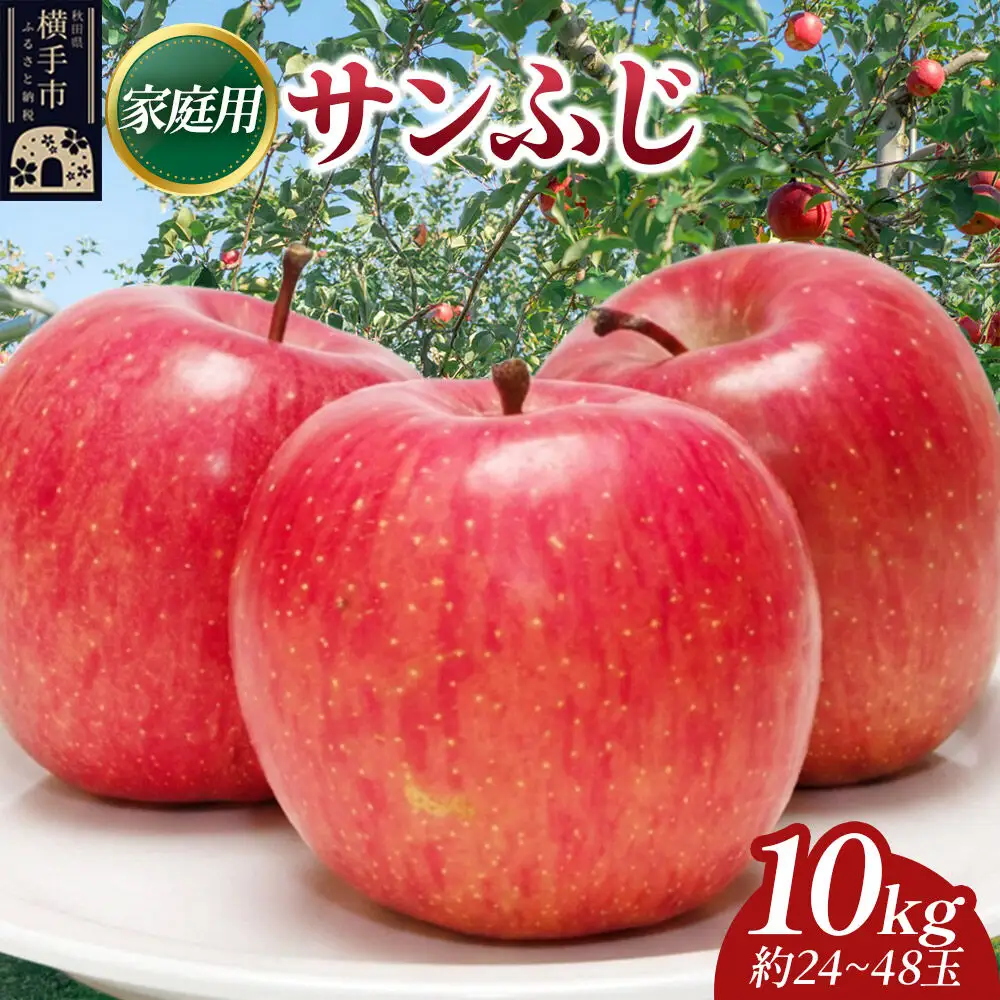 【先行受付】12月上旬より発送 樹上完熟りんご（サンふじ）家庭用 約10kg（約24～48玉） 喜三郎農園