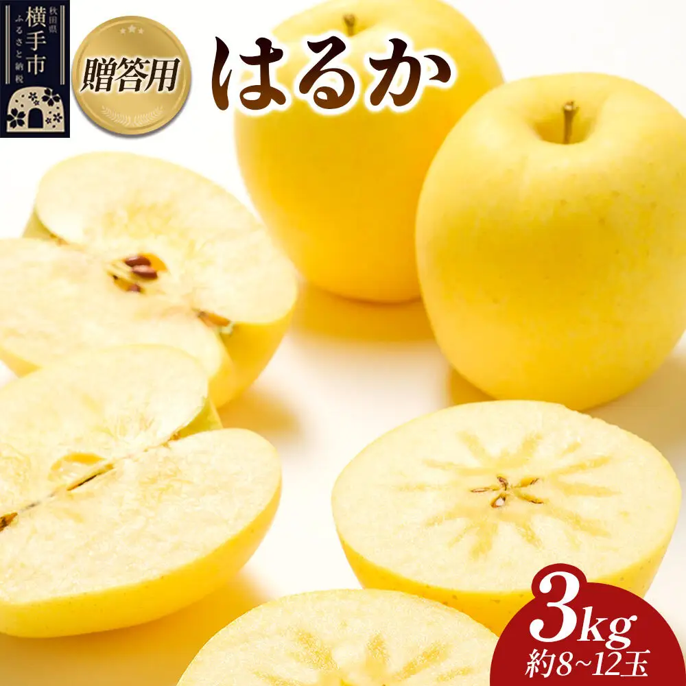 【先行受付】12月上旬より発送 樹上完熟りんご（はるか）贈答用 約3kg（約8～12玉） 喜三郎農園