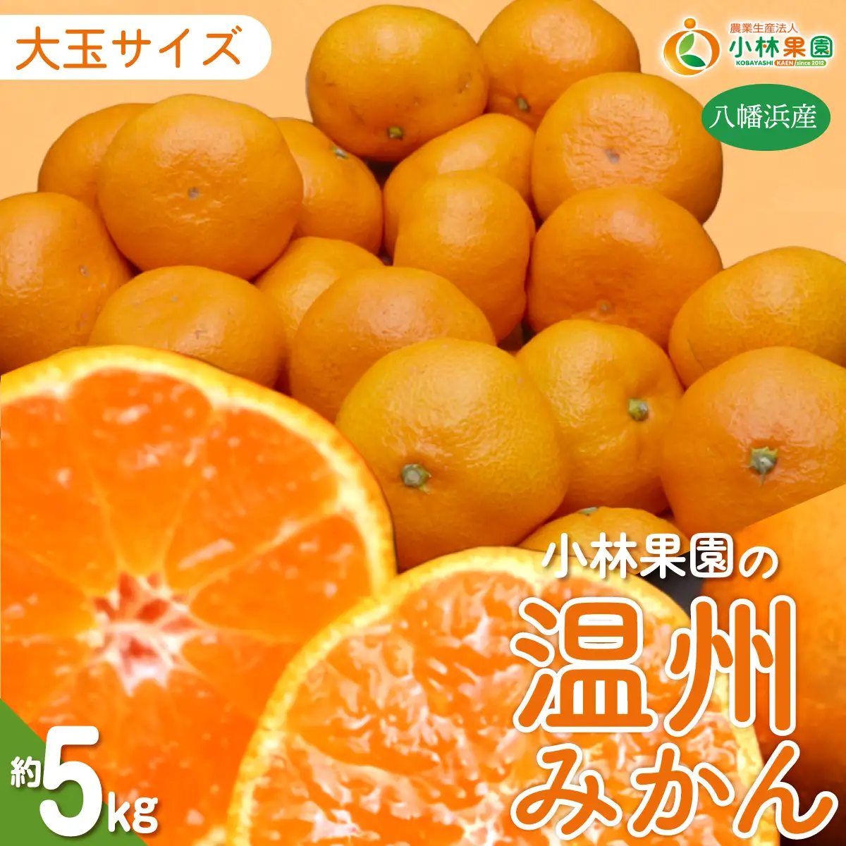 【先行受付】小林果園の果汁たっぷり愛媛温州みかん(約5kg・3L～Lサイズ)【24-41】YWTAD032