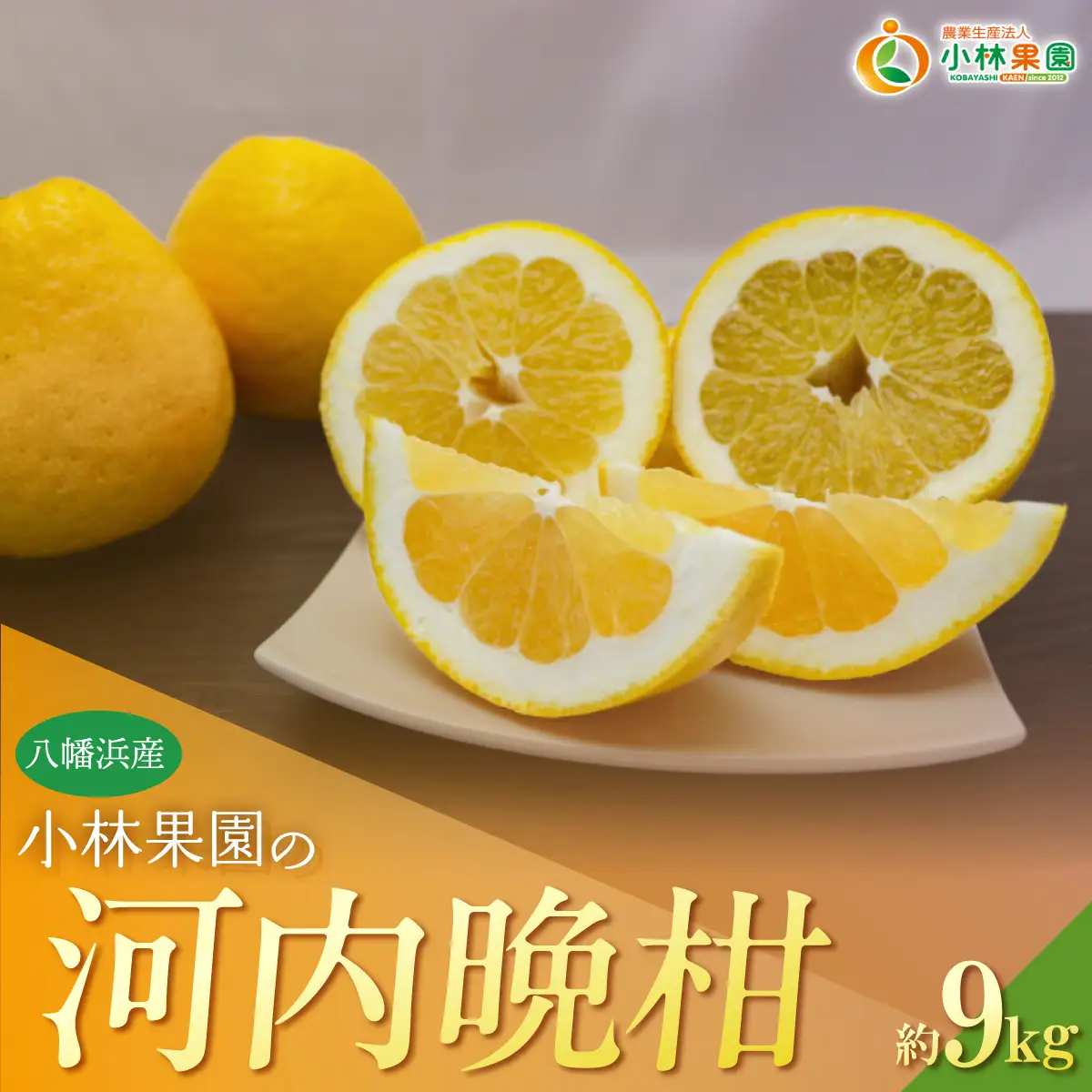【先行受付】小林果園の河内晩柑(約9kg)YWTAD037