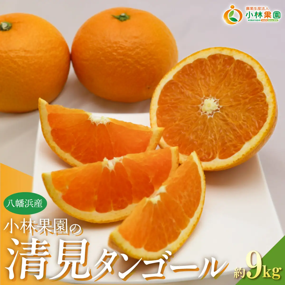 【先行受付】小林果園の清見(約9kg)YWTAD038
