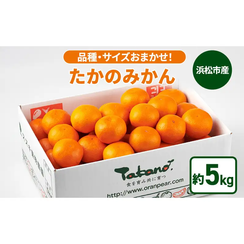 【11月下旬より順次発送】静岡県浜松市産 品種・サイズおまかせ！「たかのみかん」 約5kg 農園直送 スズキ果物農園 みかん ミカン 柑橘 早生みかん 片山みかん 青島みかん 静岡 浜松市　【配送不可：離島】