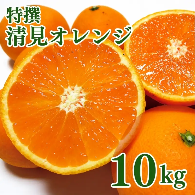特撰　清見オレンジ 10kg+200g(補償分)【2027年2月下旬～5月上旬頃に順次発送予定】【ard263】