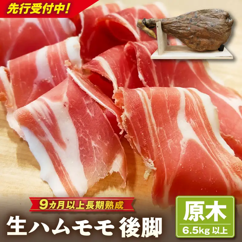 【先行予約】【2026年10月より順次発送】生ハム モモ（ハモン）後脚【原木】6.5kg以上 ハモンテンパク【長期熟成9ヵ月以上】