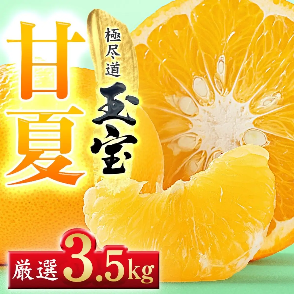 【先行受付】【愛媛名産】玉宝甘夏　3.5kg【C64-73】YWTY083