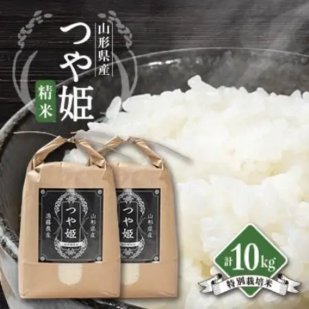 【発送月固定定期便】美味しいつや姫 5kg×2袋が届く!全6回【4089312】