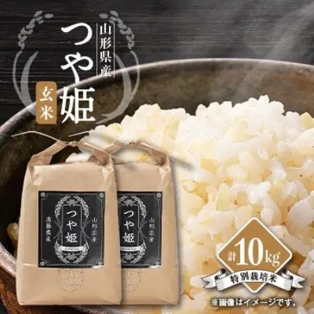 【発送月固定定期便】美味しいつや姫 玄米5kg×2袋が届く!全6回【4089325】