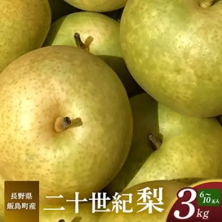二十世紀梨 3kg 長野県飯島町産【1631967】