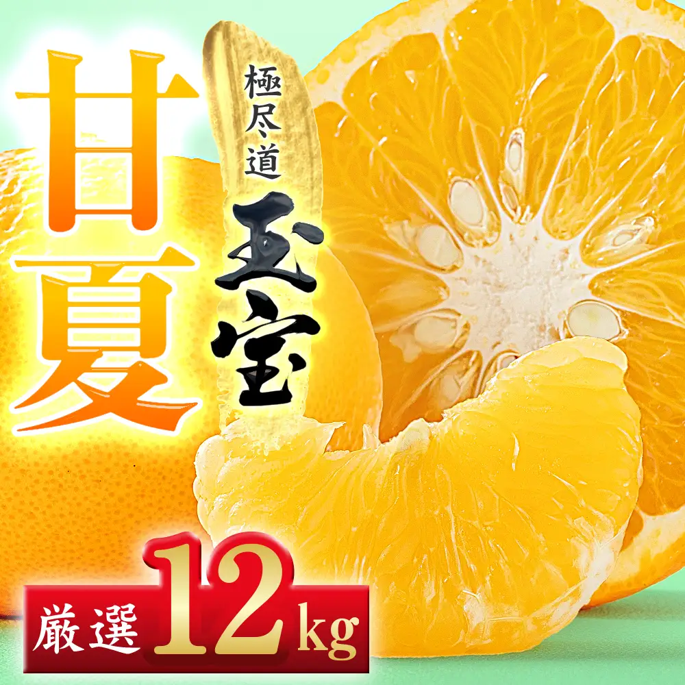 【先行受付】【愛媛名産】玉宝甘夏　12kg【F64-75】YWTY085