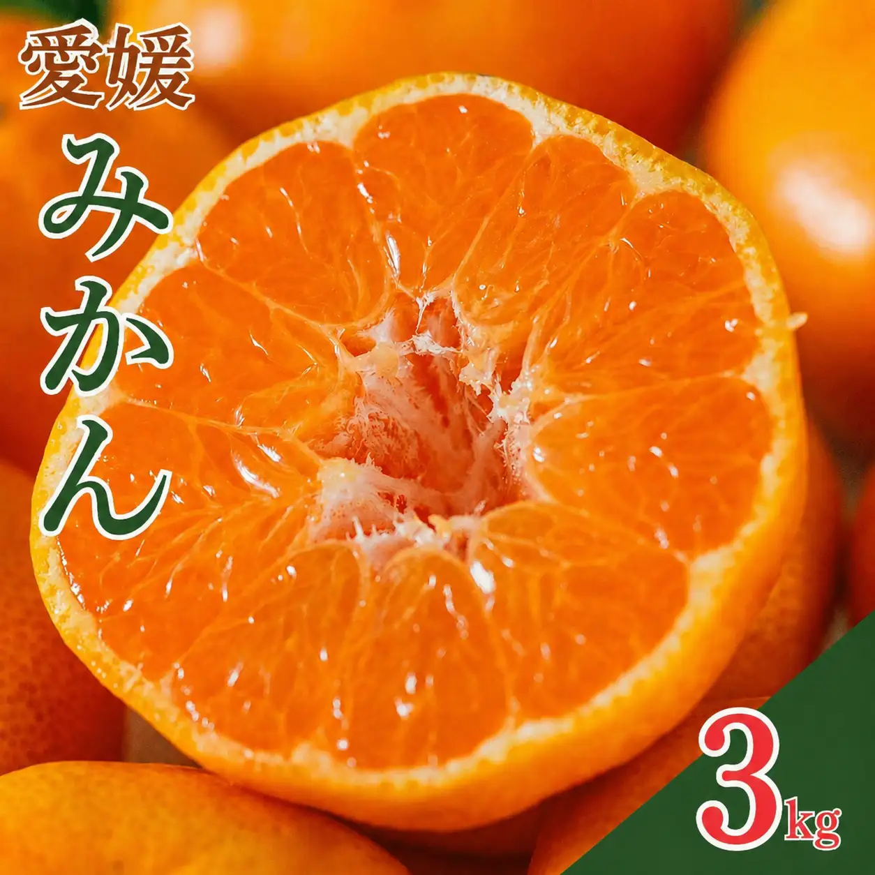 【先行予約】愛媛みかん 3kg (傷み補償200g付き)  みかん 愛媛県 愛南町 吉本農園