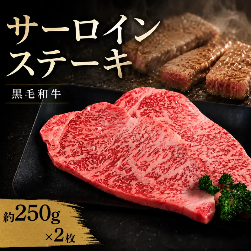 牛肉 サーロイン 黒毛和牛 ステーキ肉 1枚約250g  2枚 (計500g）