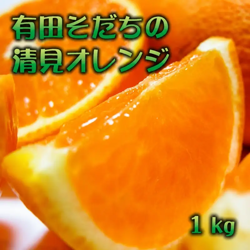 有田育ちの完熟清見オレンジ(ご家庭用)　1kg+200g(補償分)【2027年2月下旬～5月上旬頃に順次発送予定】【ard241】